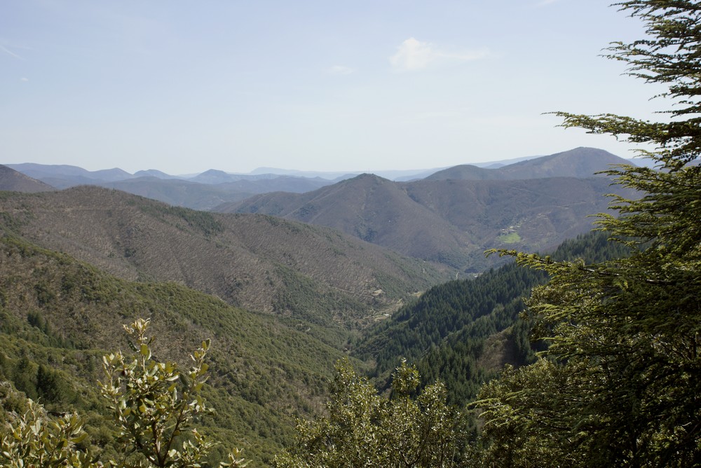 [Sortie du 9 au 12 Mai 2013] Les Cévennes en X1/9  - Page 3 720371DSC3698