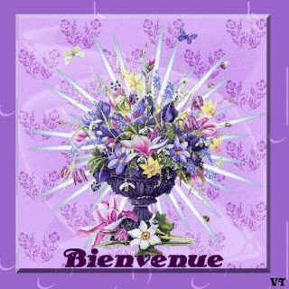 coucou tout le monde  721282BIENVENUECADREFLEURI