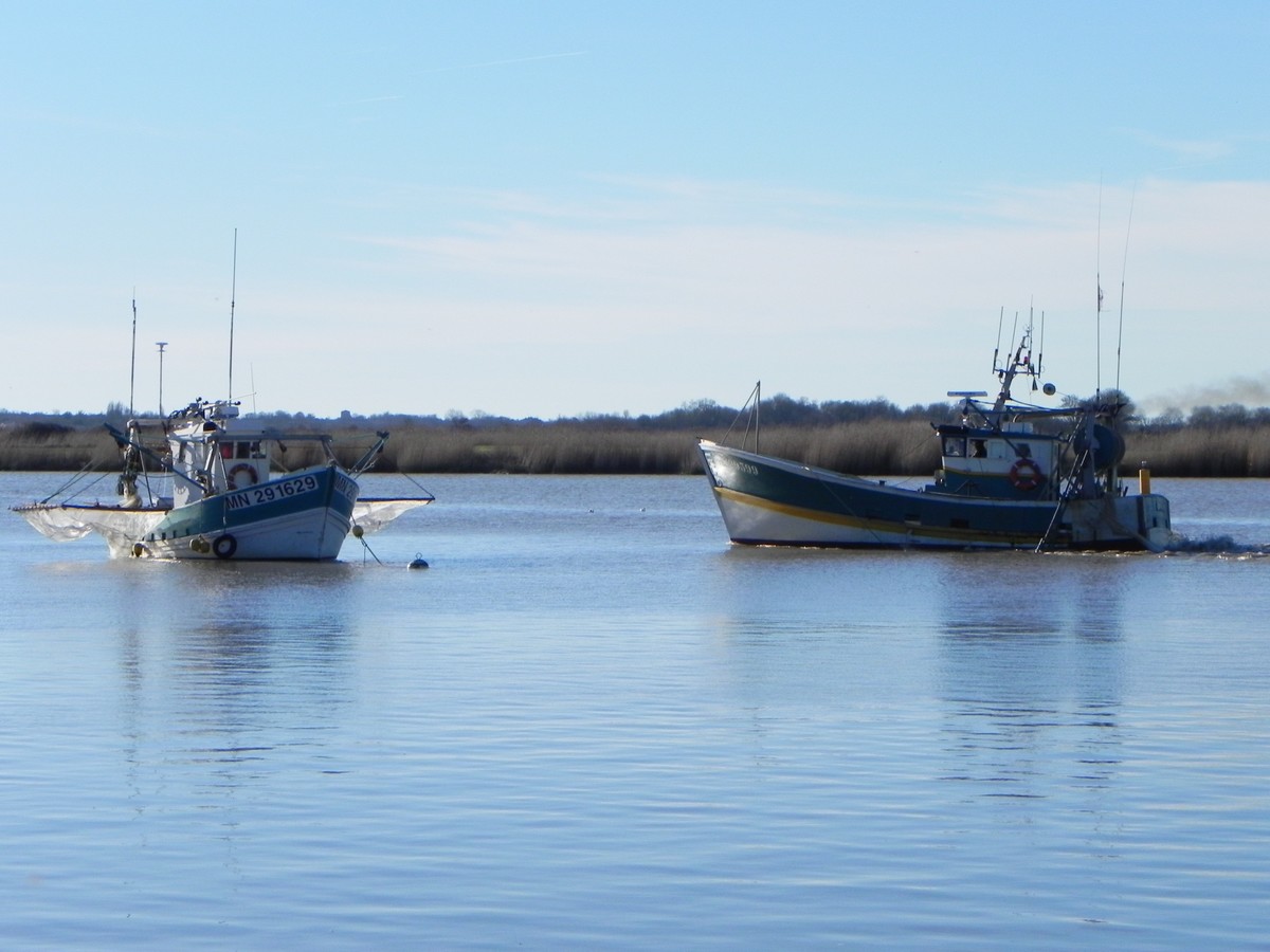 [VIE DES PORTS] Quelques bateaux de pêche (sur nos côtes Françaises) - Page 20 721996BateaupechesurCharente8