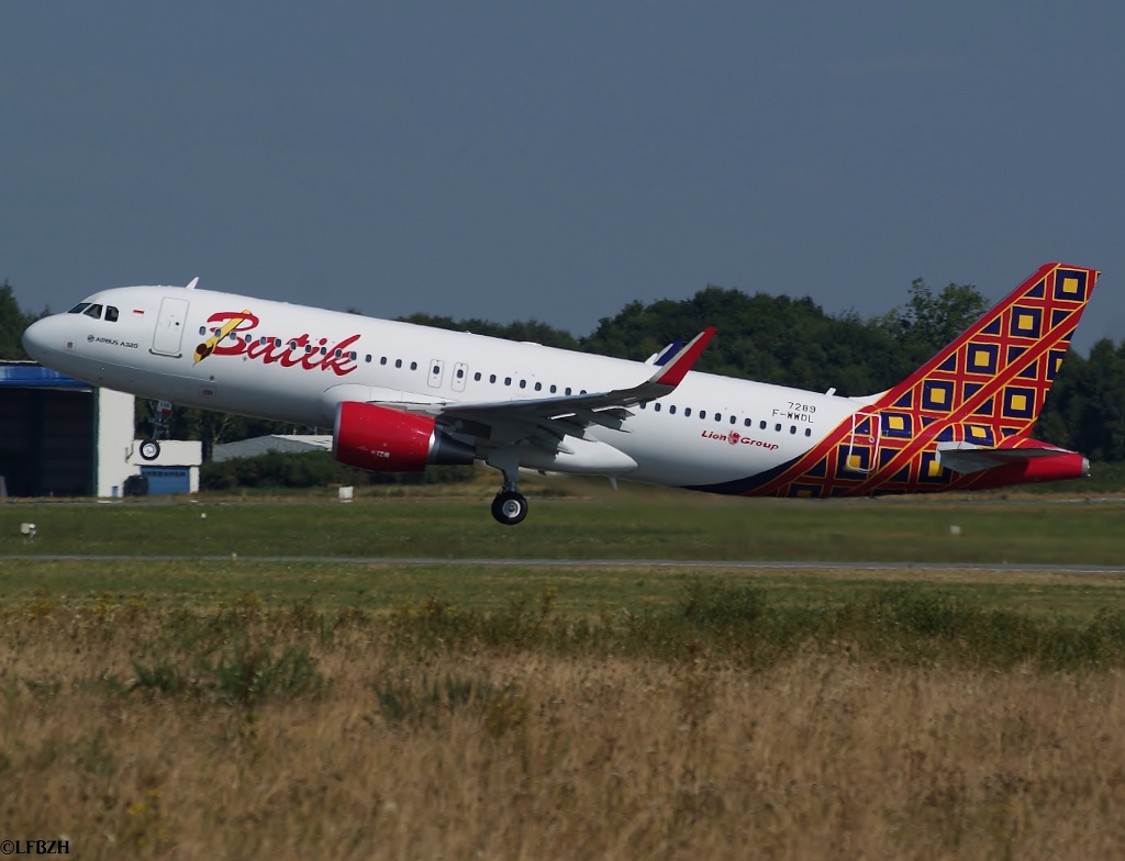 [Infos & Photos] Les Airbus en peinture !! - Page 7 723536DSC00595