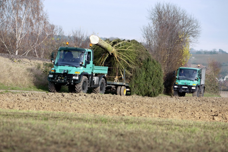 forestiers de roger : cinquieme partie 724253TheUnimogtransportsheavyChristmastrees2