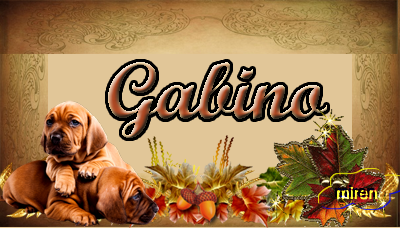 Nombres con la G 7301970Gabino