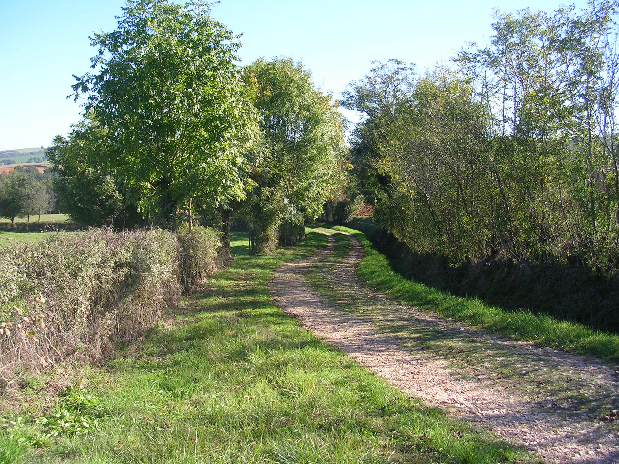 [DESCRIPTION] Le chemin de randonnée 735518chemin