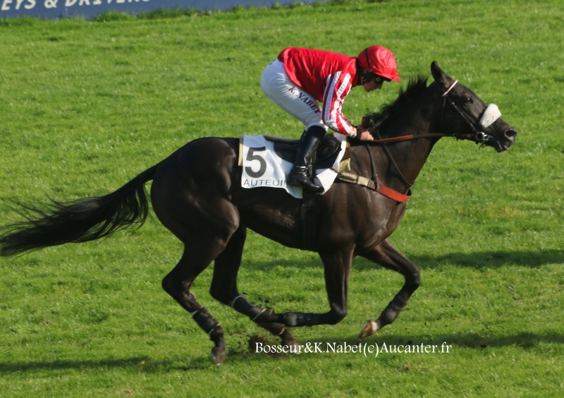 Photos Auteuil 9-10-2016 7360415J6A7892