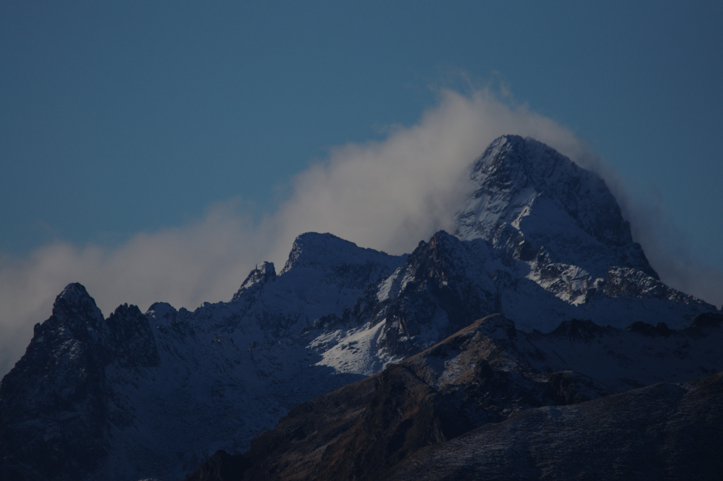 Une vie pyrénéenne de labrit des pyrénées - Page 16 737307gra0755