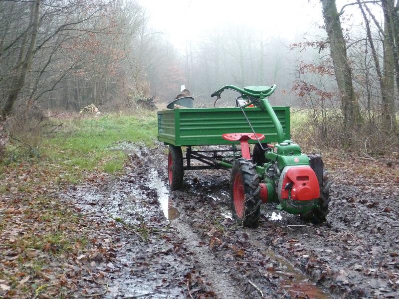 Le bois: saison 2011-2012  737620BoisAmar2