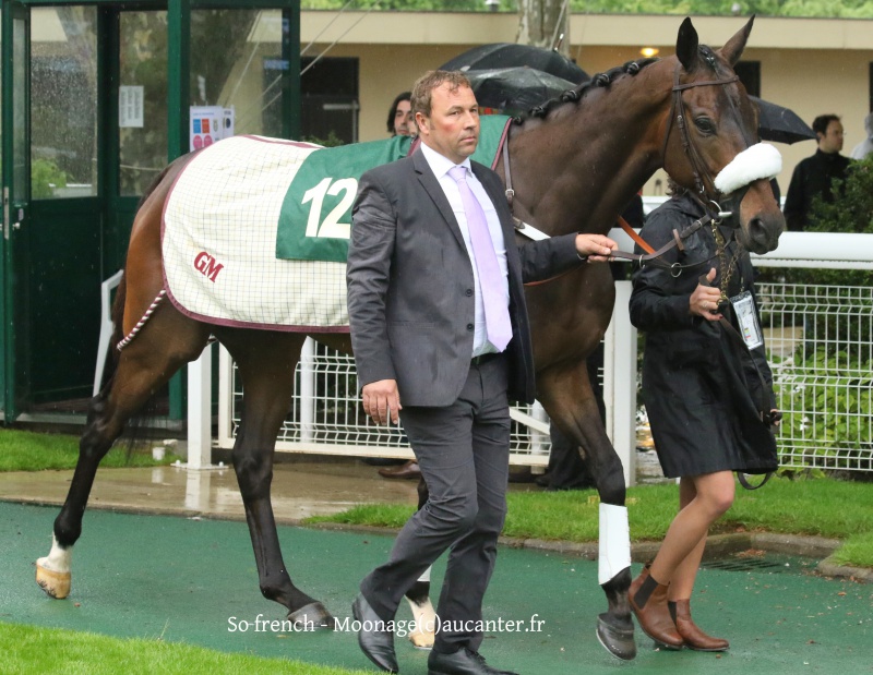 Photos Auteuil 22-05-2016 7380545J6A2744