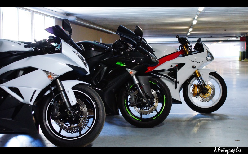 Zx6R K10 Blanc :) [Photo page 1] - Page 4 738243DSC02337copie