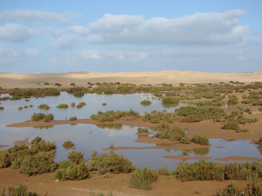 Le Grand Sud du Maroc - II 739624002