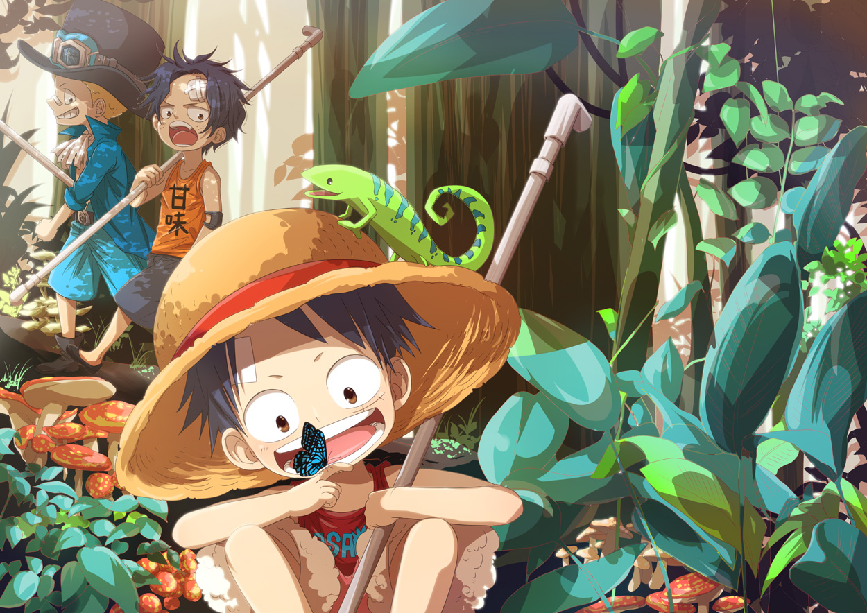 La foire aux wallpapers 739729monkeydluffyonepieceportgasdac3541230ea2