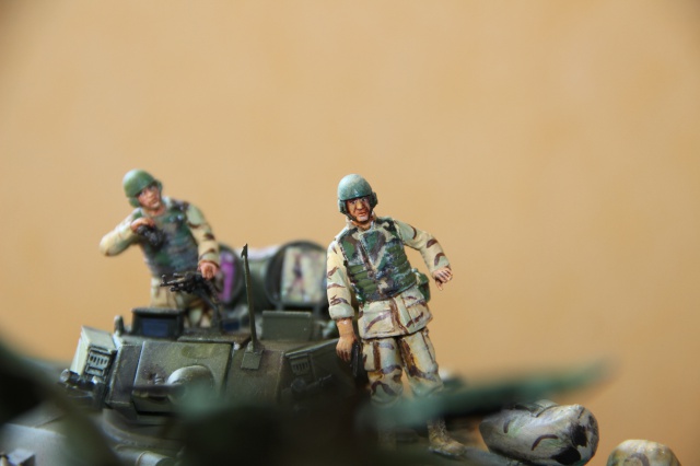 LAV-25 OIF 2003 [Italeri 1/35] 741490IMG1009