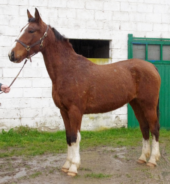 [PLACEE CLEMENCE] VEROBEACH Quand le modèle est là... il n'y a plus qu'à... ! 741799VEROBEACH7