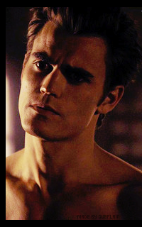 Paul Wesley - 200*320 744846522b