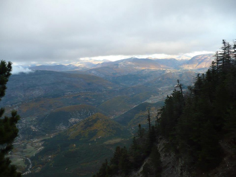  Mont Ventoux Tte de la Grave par le GR9 - Dimanche 11 novembre 2012  745300vuenord