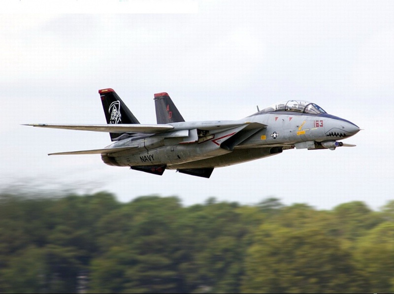 GRUMMAN F-14 TOMCAT 745598GrummanF14TomcatBassealtitude