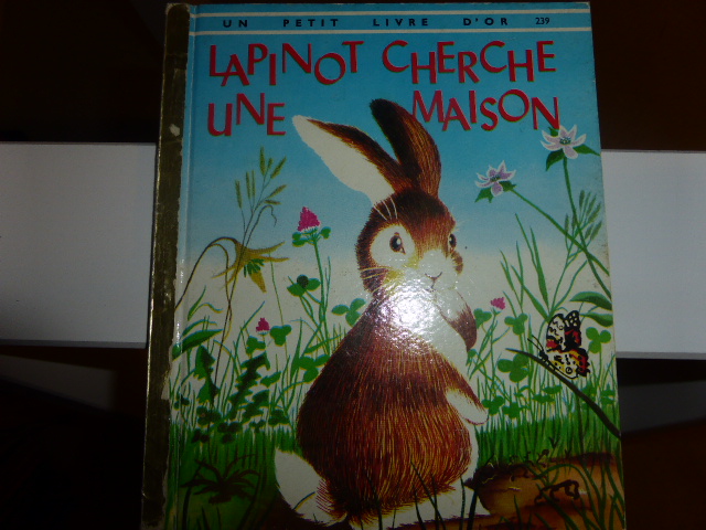 Les lapins dans les livres d'enfants - Page 2 745996P1040674