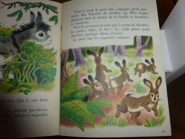 Les lapins dans les livres d'enfants - Page 2 746022P1040682