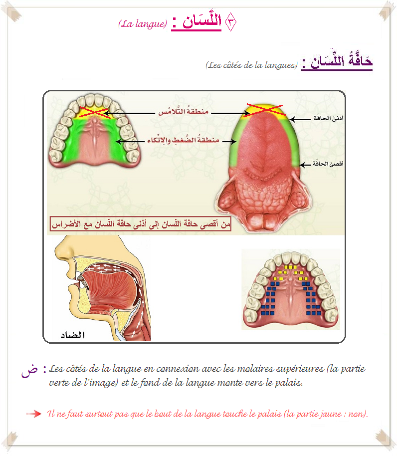 résumé théorie 746040allissanep1