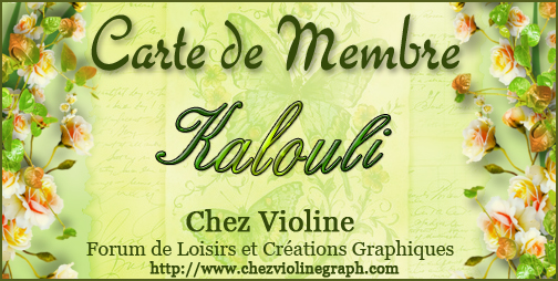 Carte de membre - Page 9 746121Kalouli