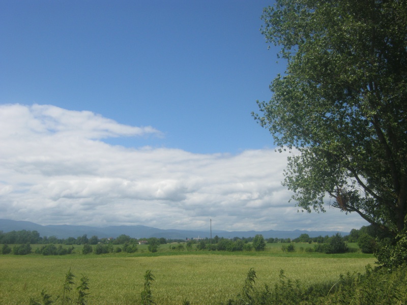 Ballade par une belle après-midi ensoleillé d'été. 748732IMG0423