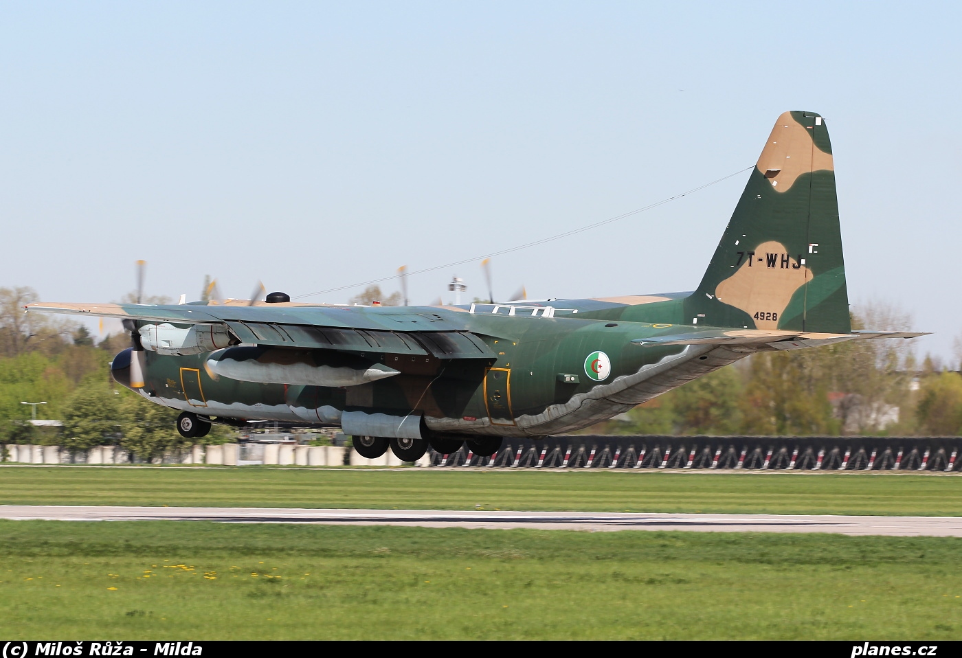 صور طائرات النقل والشحن الجزائرية [ C-130H/H30  /  Hercules ]  - صفحة 2 749247WHJ1