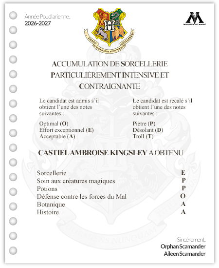 [EXAMENS #1] Résultats des examens de l'année 2026/2027 750323ExamCastielKingsley