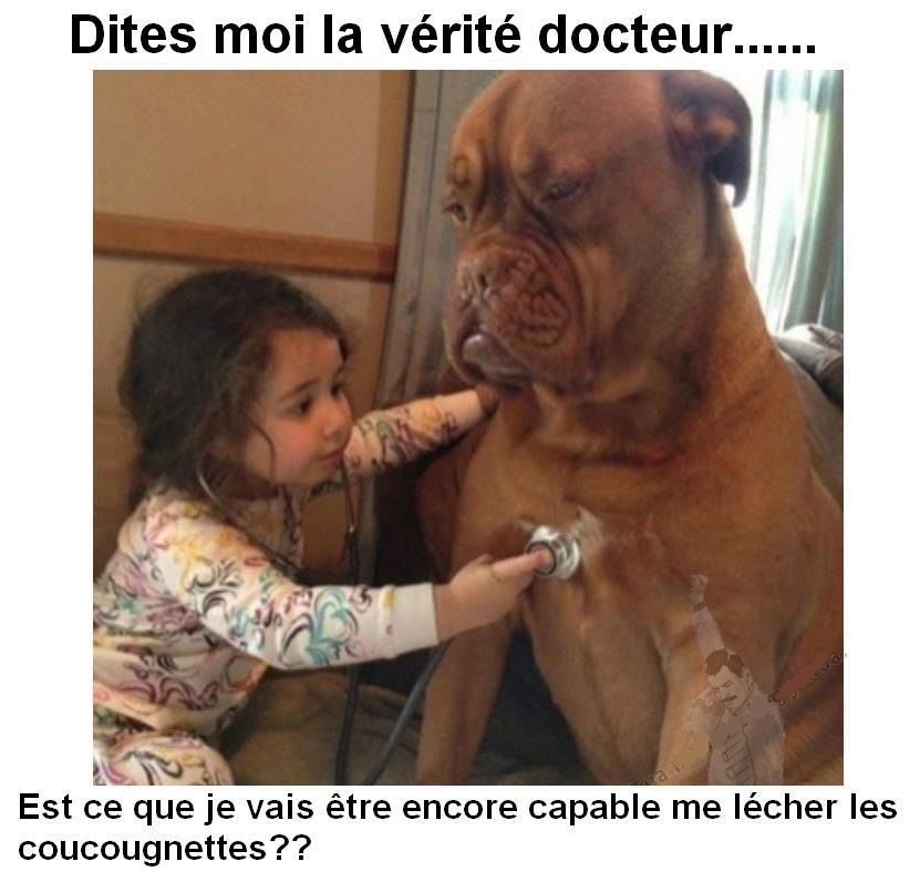 HUMOUR - Drôles de bêtes... 752064554629239269189548268352666924n