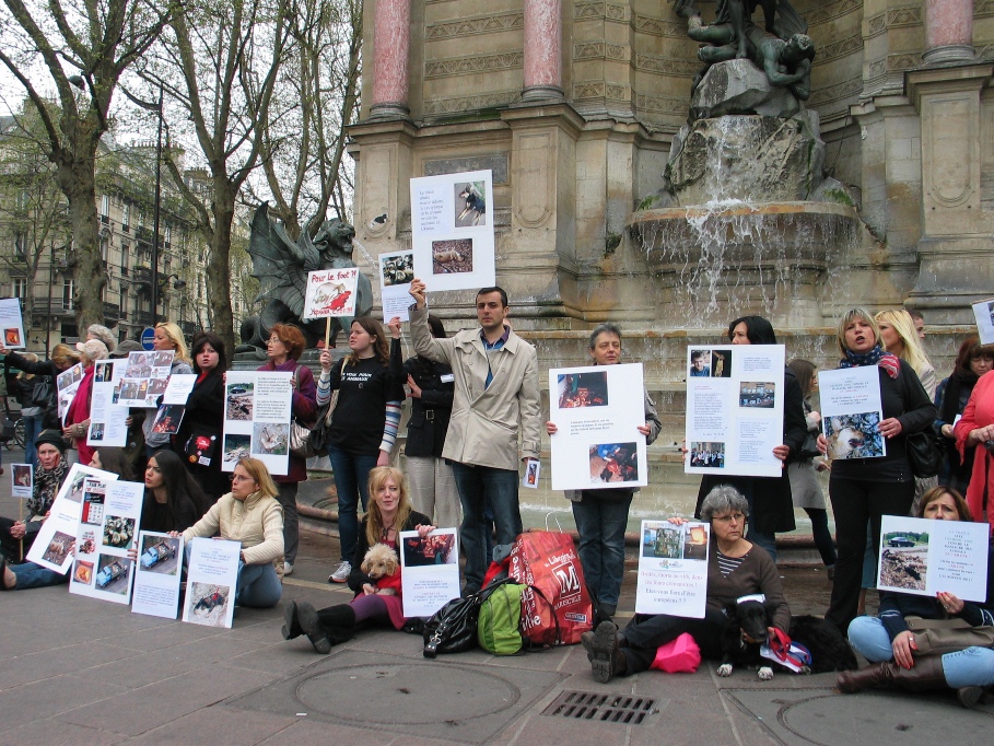 09 - Manifestation contre le massacre des animaux en Ukraine - 31 mars 2012 754356IMG8367