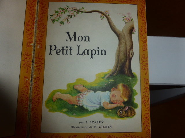 Les lapins dans les livres d'enfants - Page 2 755049P1040681