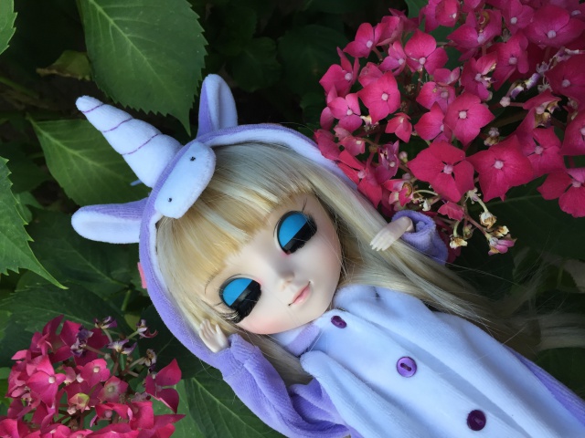 L'univers Pullip /Dal /Taeyang - Page 9 755477IMG0932