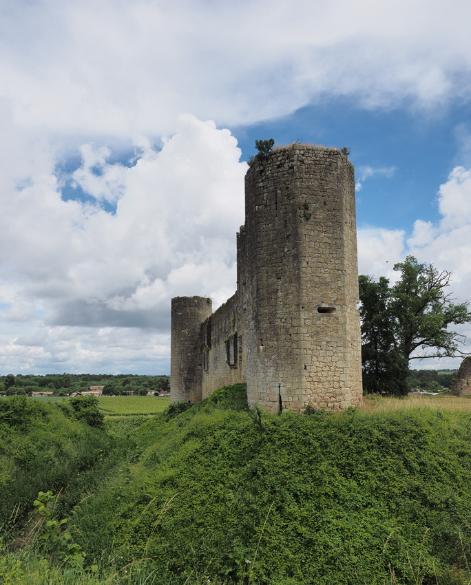 château de Budos (33) 7581962016061613