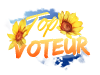 Les badges - collectionnez les tous ! 758843topvoteur