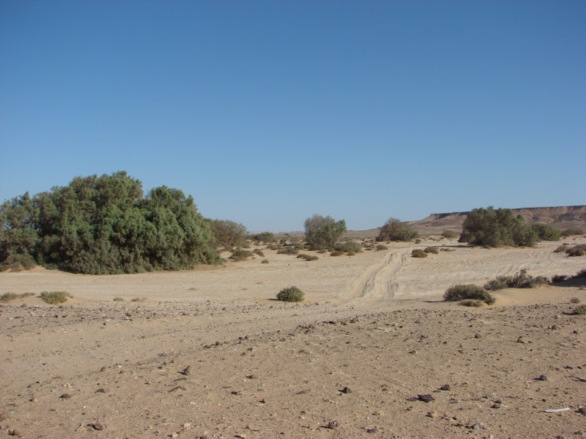 Le Grand Sud du Maroc - II 759073030