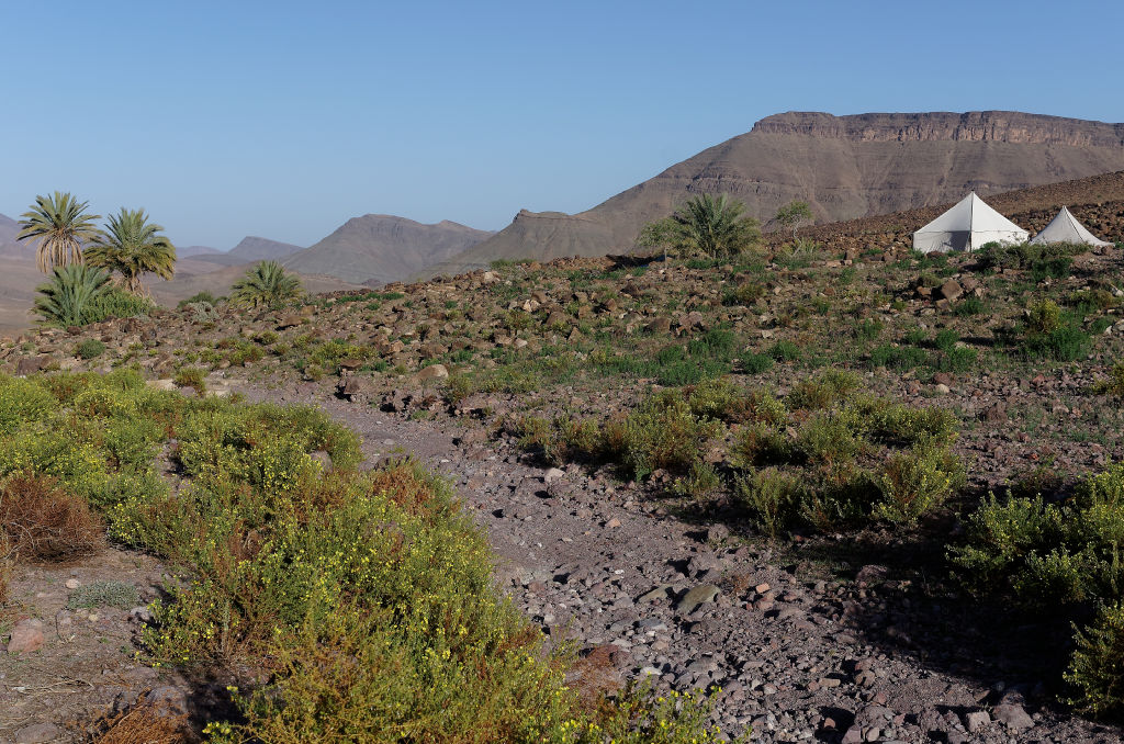 Bivouac dans le massif du Saghro Maroc 759927IMGP8042DxO