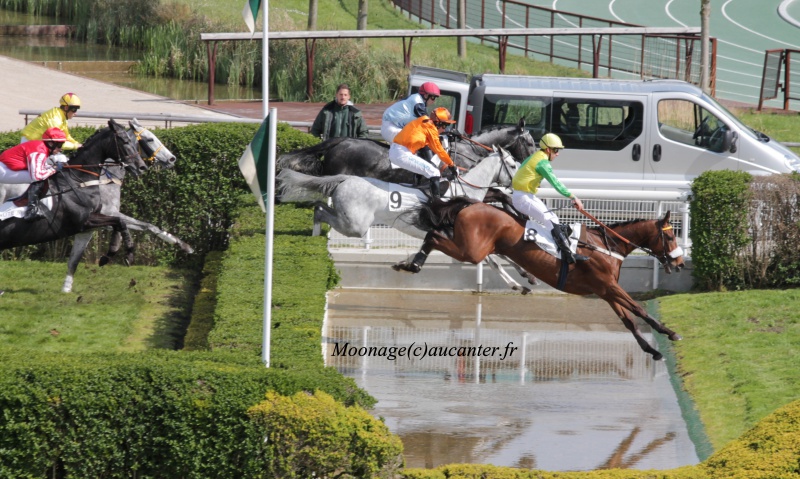 Photos Auteuil 27-04-2016 - Page 2 760267IMG1192