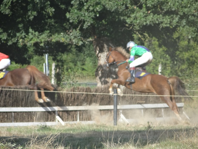 courses de poneys en bretagne 760637DSC00769