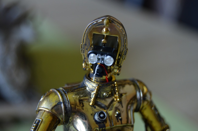 C-3PO de Bandai - Page 2 762470DSC0018