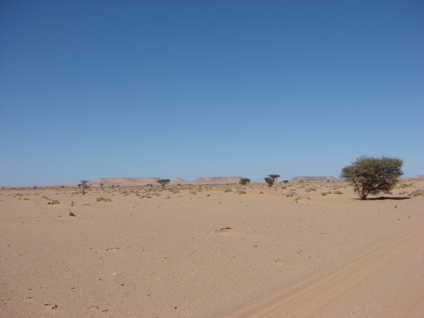 Le Grand Sud du Maroc - II 764806096