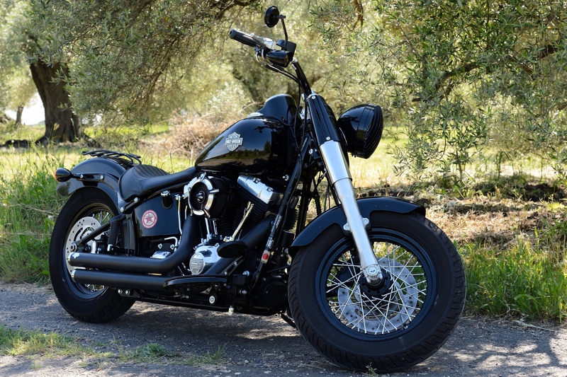 SOFTAIL SLIM... les accros de la Slim attitude !! - Page 16 769093D4E4765b