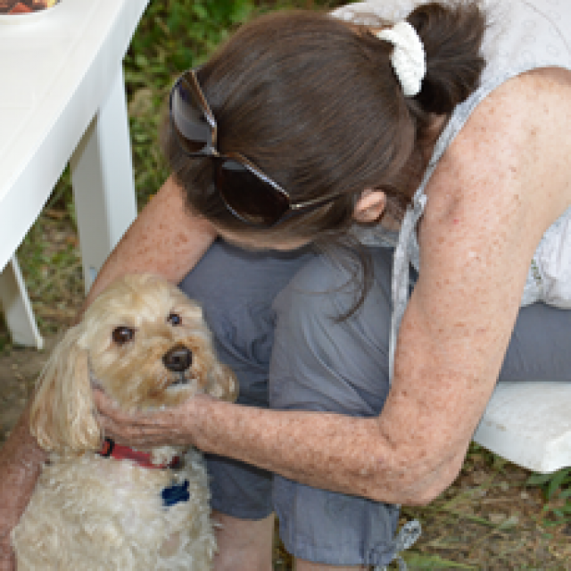 CHAPO X CANICHE M 10 ANS URGENT avant le 10/02 - Page 2 770189cid2E6D8D0AFE974A0894138575061BC293PONSPC