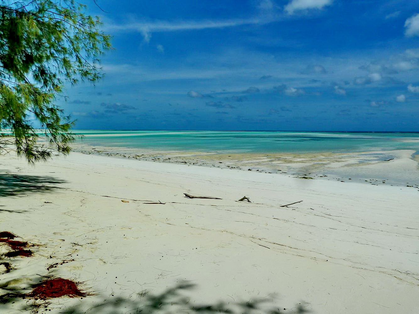 [Campagne] Iles éparses du canal du Mozambique - Page 12 770690P1090975