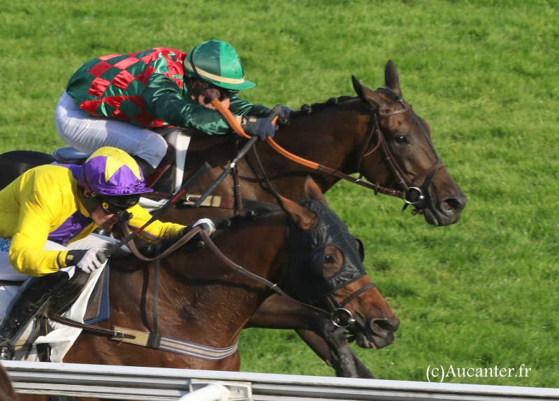 Photos Auteuil 9-10-2016 7750365J6A7915