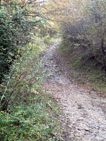 Sur la piste des Cathares 9-10-11 Novembre - Page 17 776858SDC15727