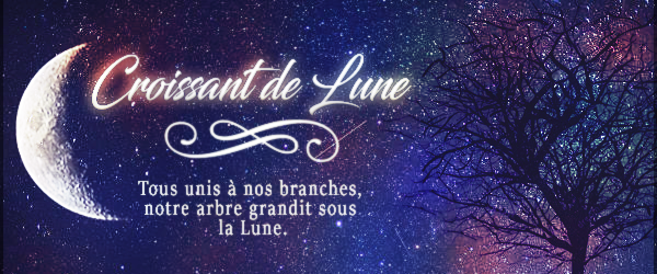 Commande d'une bannière : Croissant de Lune.  778787CroissantdeLune