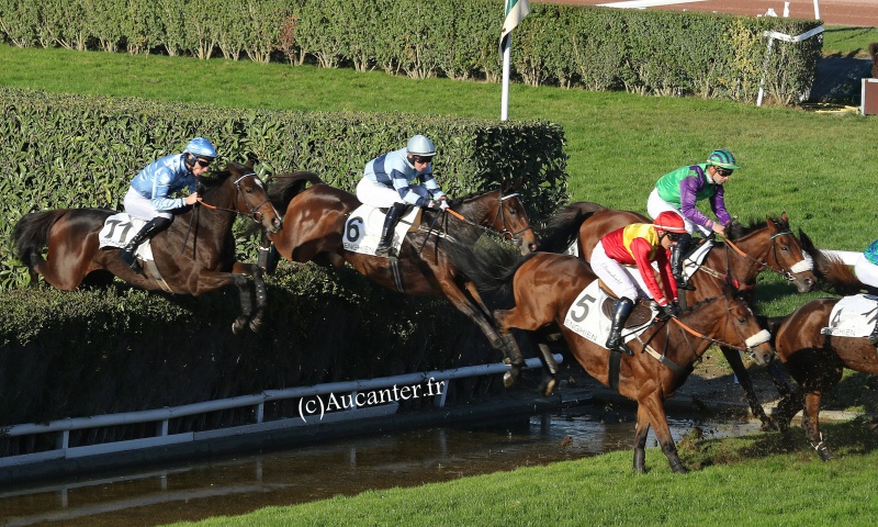 Grand Steeple-Chase d'Enghien 2016 (St., Gr.II, Enghien) 22-10 : Miss de Champdoux 7814605J6A9494