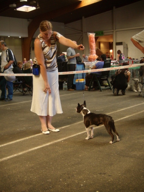  - Nos chiens prennent la pose, statique exposition. - Page 3 785671dscn2110