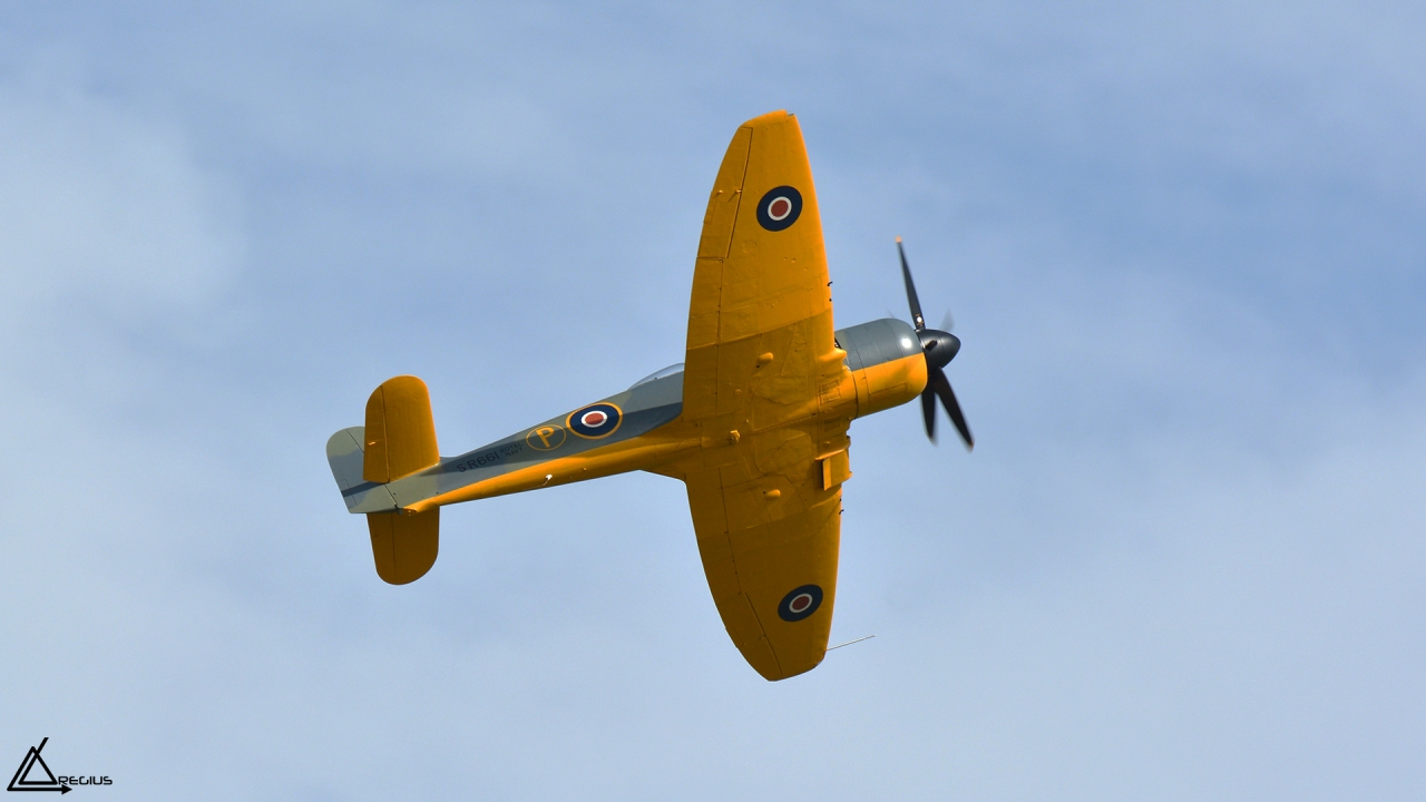 Flying legends 2016 - Duxford - Page 2 7857311280DSC4335