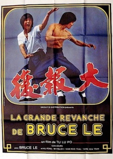 La Grande Revanche de Bruce Le: 787195lagranderevanchedebrucele