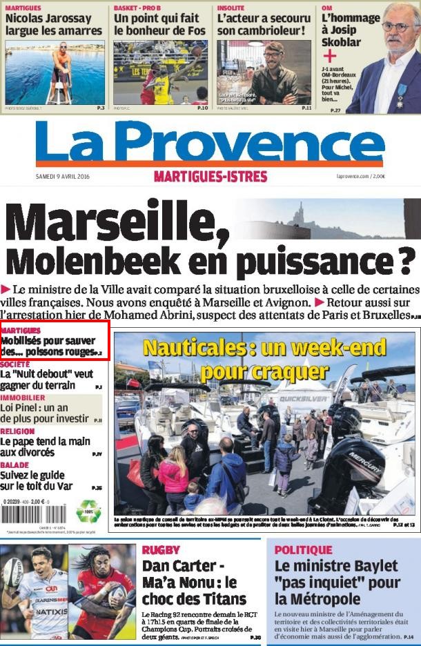 Poisson rouge abandonné ? - Page 2 787656Sanstitre3