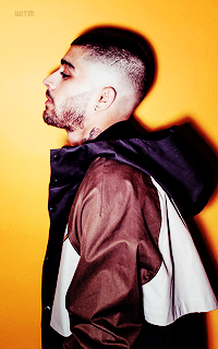 ✽ Giulia's display 789023zayn6